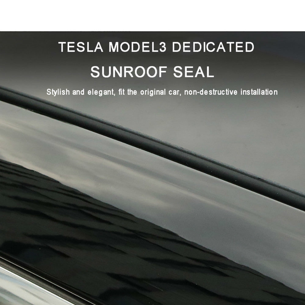 Tesla model3 windshield roof sunroof seal - OnlyTeslaFans